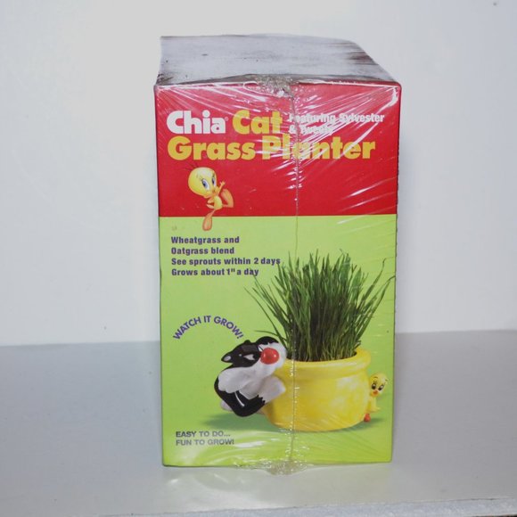 Chia Cat Planter Featuring Sylvester And Tweety New In Sealed Box - Picture 3 of 3